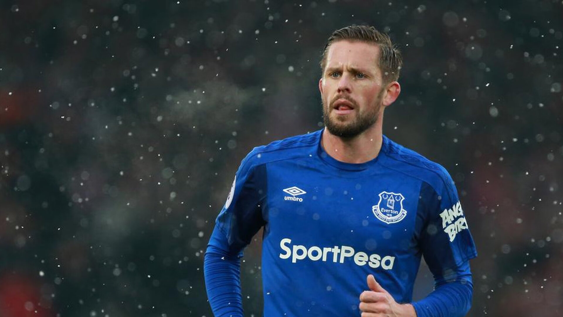 背景故事:欧洲冠军联赛中的经典人物传记,欧洲冠军分组