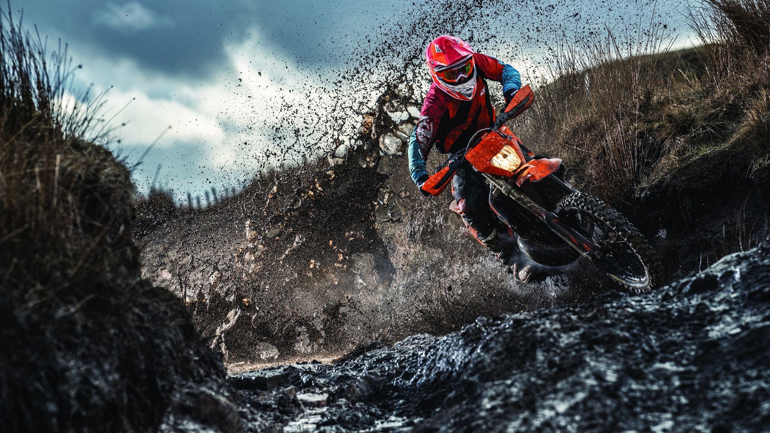 瑞典队展示坚韧精神，2024年混合团体世界杯逆袭之路，瑞典2022世界杯